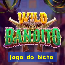 jogo do bicho tipos de apostas