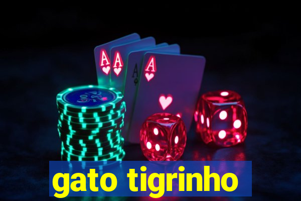 gato tigrinho