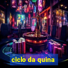 ciclo da quina