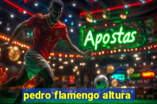 pedro flamengo altura