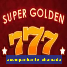 acompanhante chamada de v铆deo