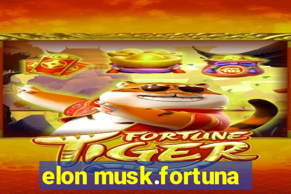 elon musk.fortuna