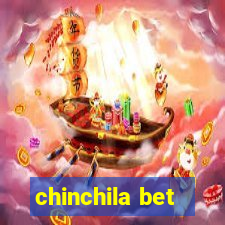 chinchila bet