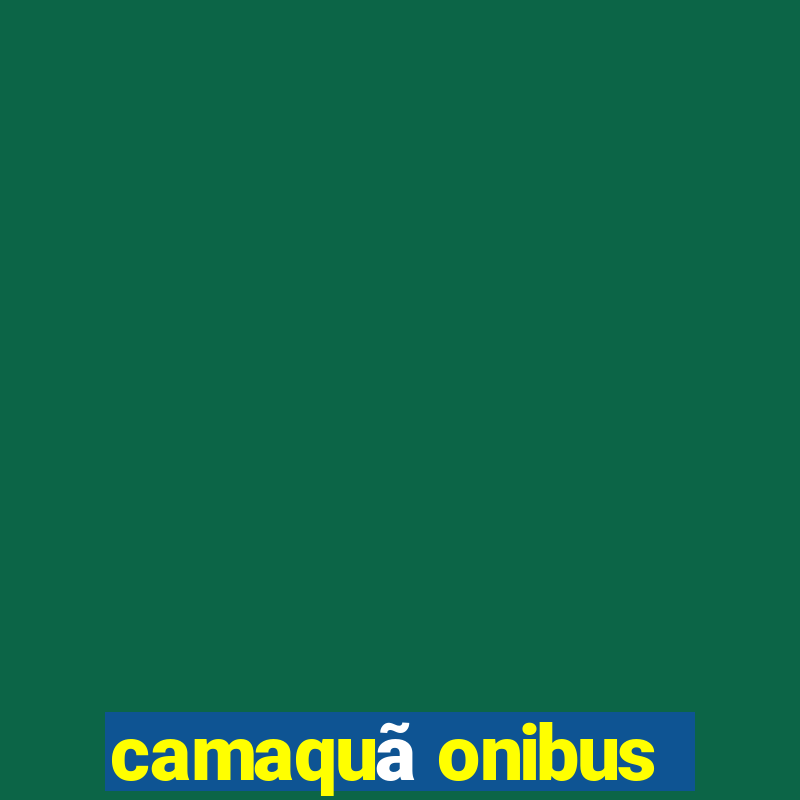 camaquã onibus