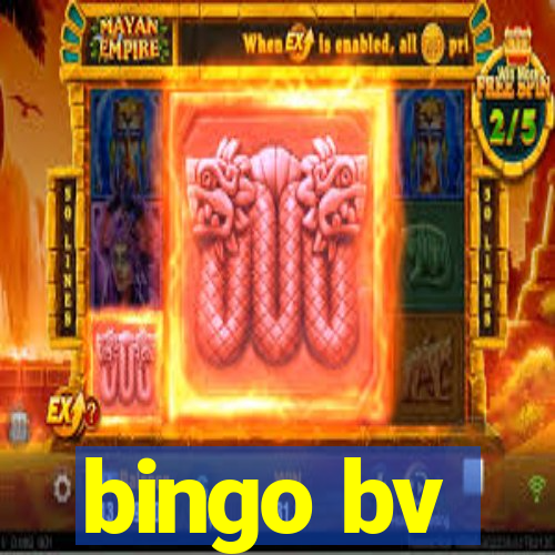 bingo bv