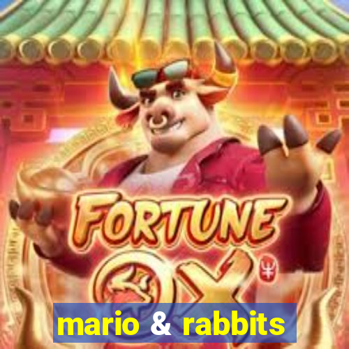 mario & rabbits