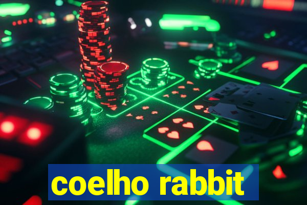 coelho rabbit