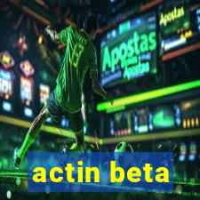 actin beta