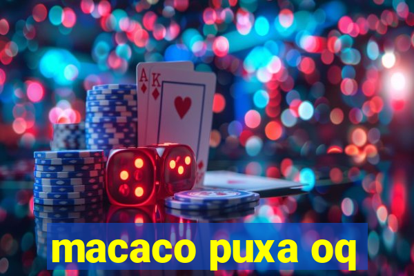 macaco puxa oq