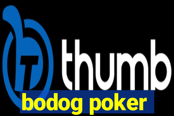 bodog poker