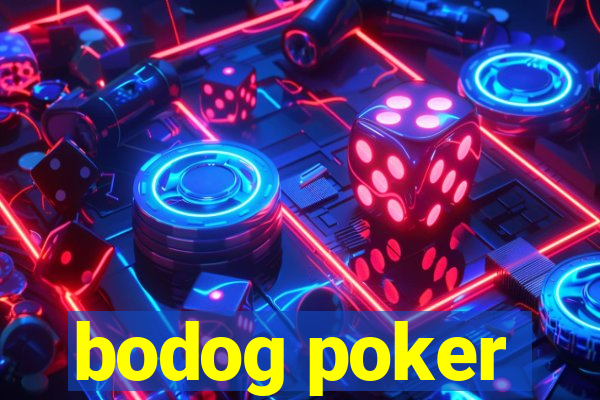 bodog poker