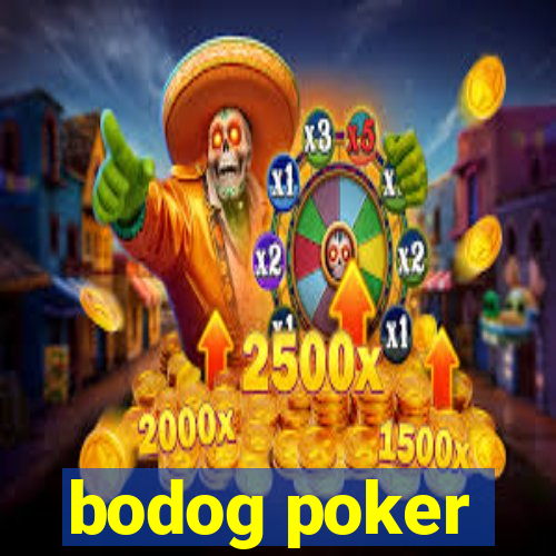 bodog poker