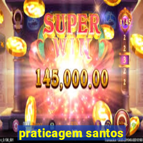 praticagem santos