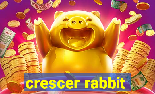 crescer rabbit