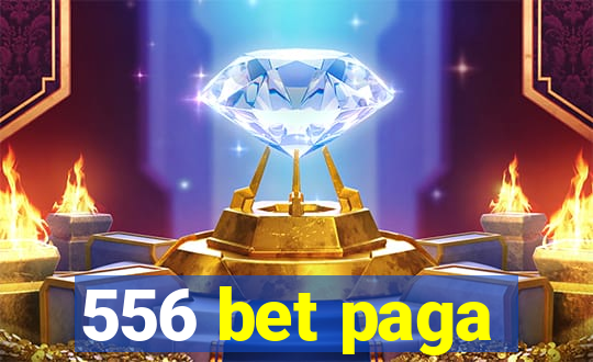 556 bet paga