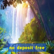 no deposit free bingo bonus