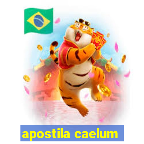 apostila caelum