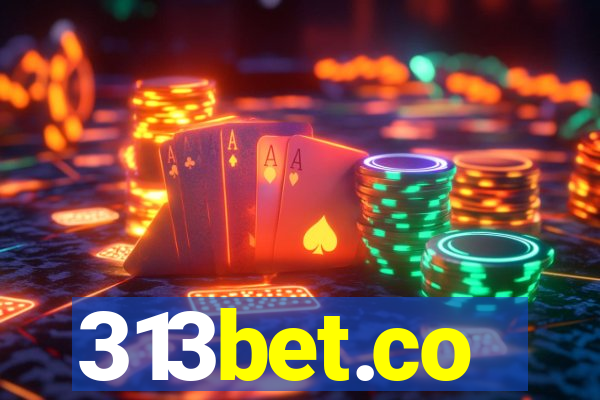 313bet.co