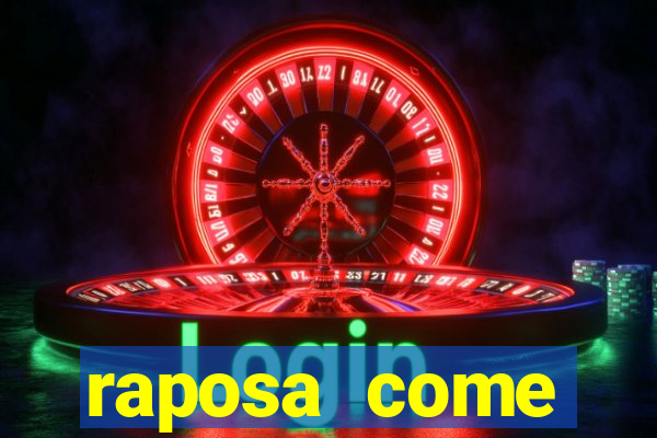 raposa come gavi茫o corinthians