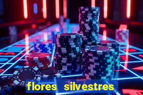 flores silvestres desbravadores desbravadores 25