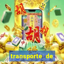 transporte de passageiros são jerônimo