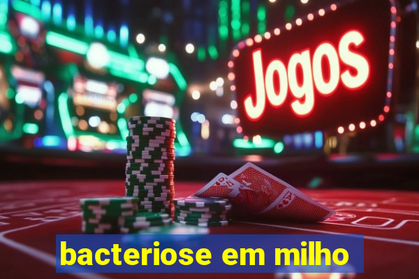 bacteriose em milho