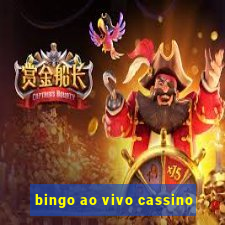 bingo ao vivo cassino