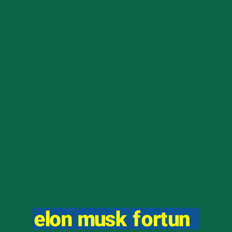 elon musk fortun