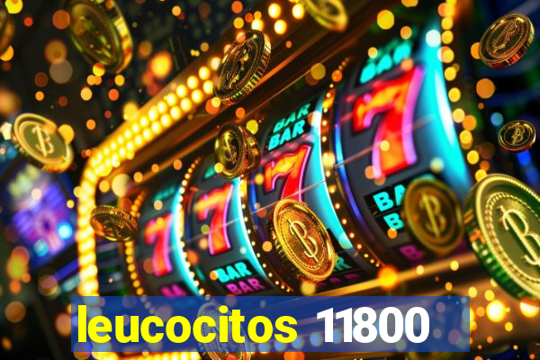 leucocitos 11800