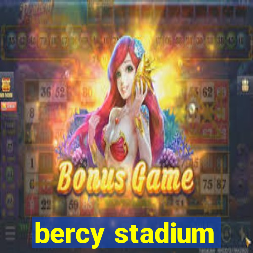 bercy stadium