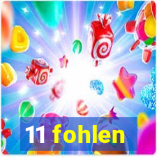 11 fohlen