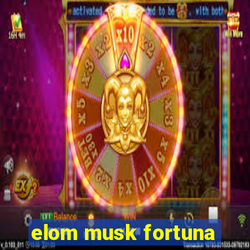 elom musk fortuna