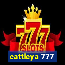 cattleya 777