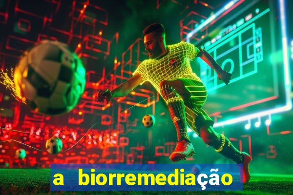 a biorremediação é uma tecnologia sustentável?