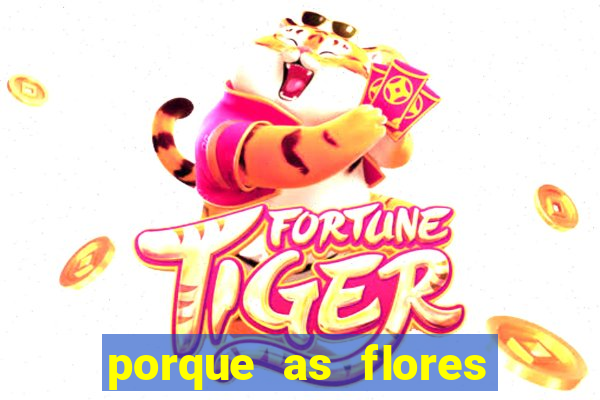 porque as flores da roma caem