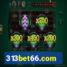 313bet66.com