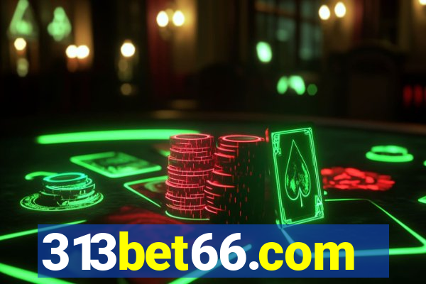 313bet66.com