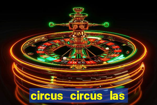 circus circus las vegas hotel and casino