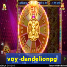 voy-dandelionpg.com