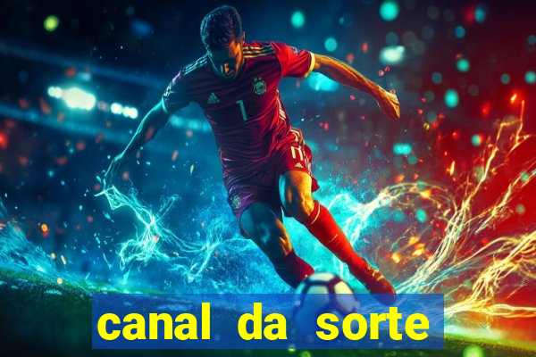 canal da sorte bingo de hoje