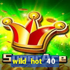 wild hot 40 christmas slot