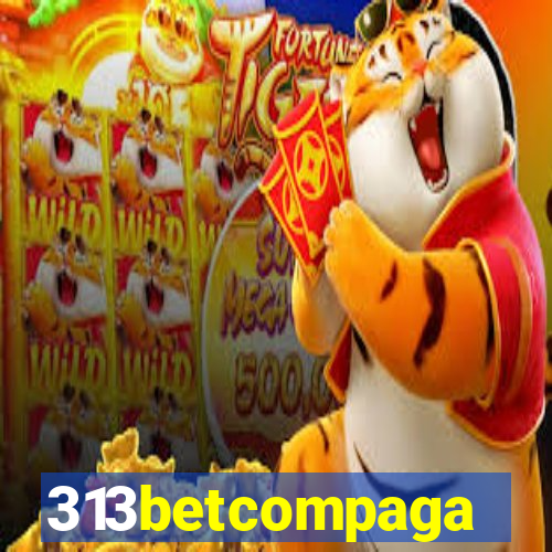 313betcompaga