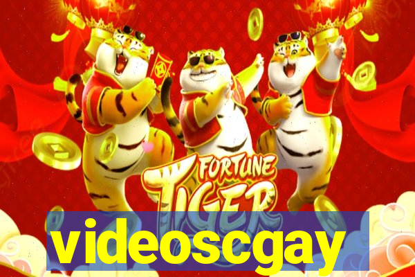 videoscgay