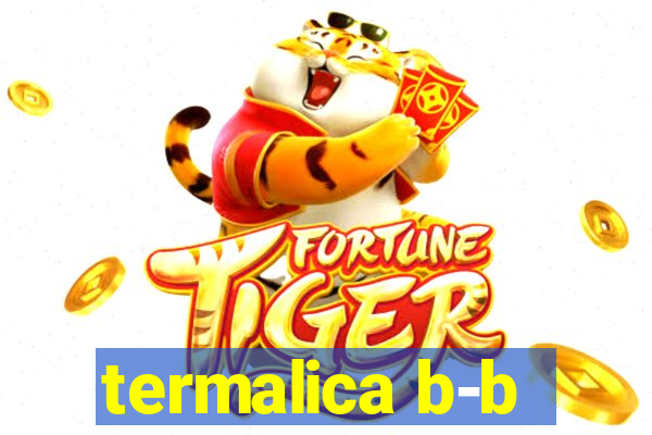 termalica b-b