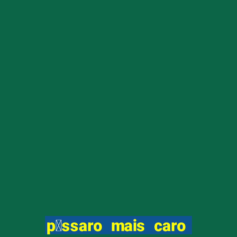 p谩ssaro mais caro do mundo