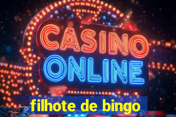 filhote de bingo