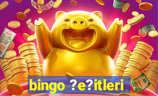 bingo ?e?itleri