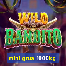 mini grua 1000kg