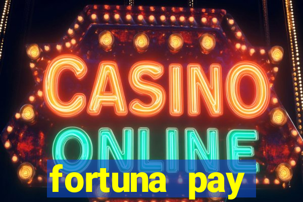 fortuna pay consultoria financeira ltda