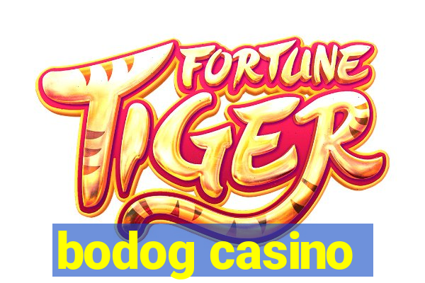 bodog casino